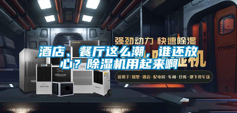 酒店、餐廳這么潮，誰還放心？除濕機(jī)用起來啊