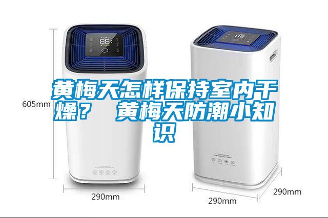 黃梅天怎樣保持室內(nèi)干燥？ 黃梅天防潮小知識(shí)
