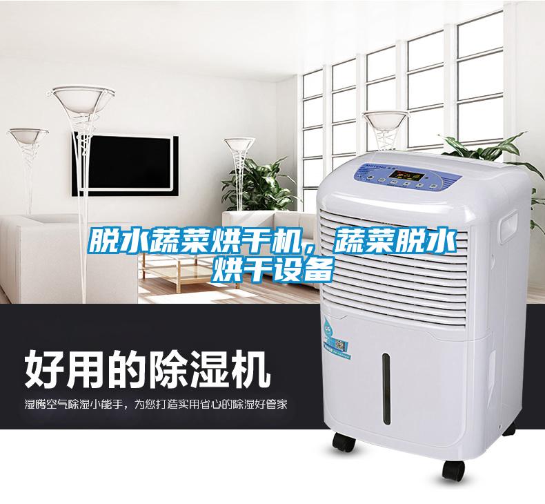 脫水蔬菜烘干機，蔬菜脫水烘干設(shè)備