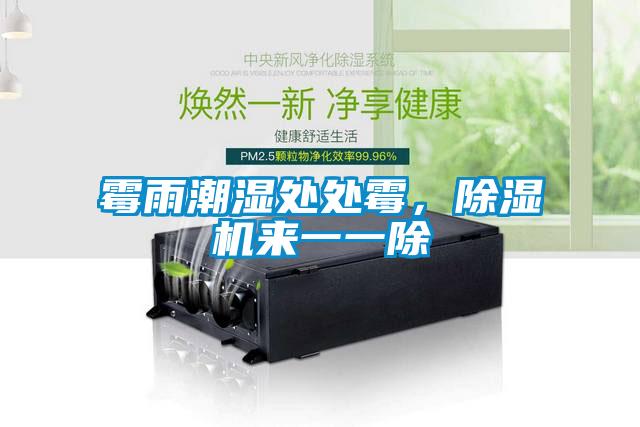 霉雨潮濕處處霉，除濕機(jī)來(lái)一一除