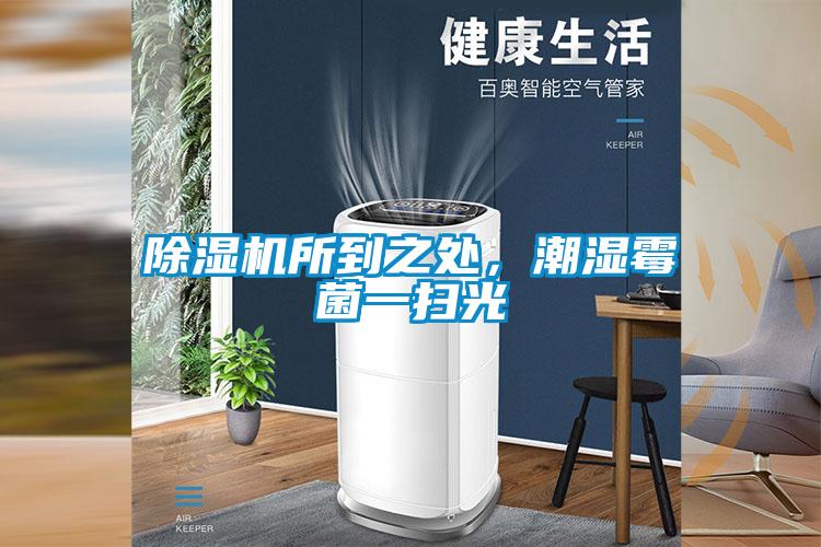 除濕機(jī)所到之處，潮濕霉菌一掃光