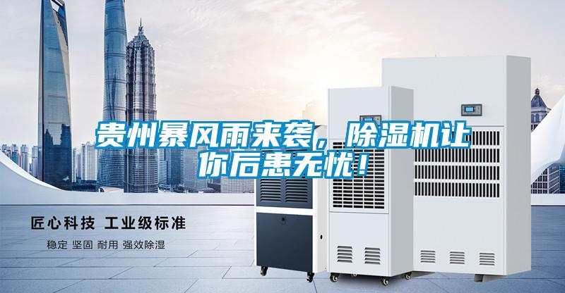 貴州暴風(fēng)雨來襲，除濕機(jī)讓你后患無憂！