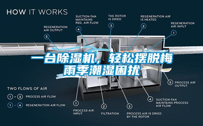 一臺(tái)除濕機(jī)，輕松擺脫梅雨季潮濕困擾
