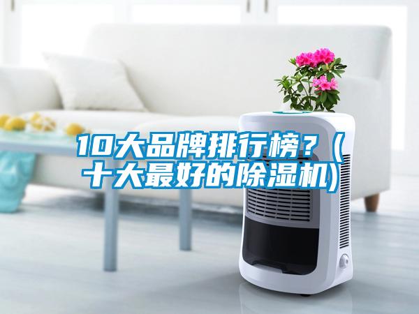 10大品牌排行榜？(十大最好的除濕機(jī))