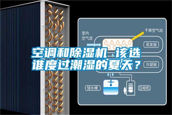 空調(diào)和除濕機(jī) 該選誰度過潮濕的夏天？