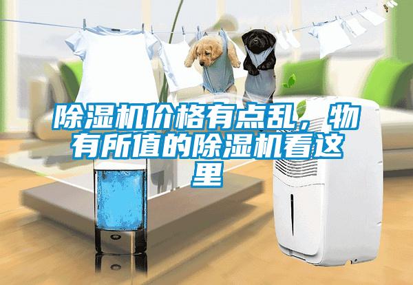 除濕機價格有點亂，物有所值的除濕機看這里