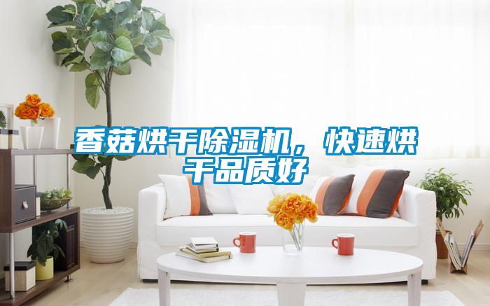 香菇烘干除濕機(jī)，快速烘干品質(zhì)好