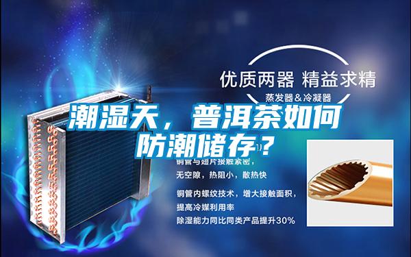 潮濕天，普洱茶如何防潮儲(chǔ)存？