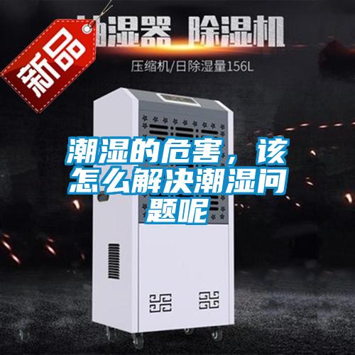 潮濕的危害，該怎么解決潮濕問題呢