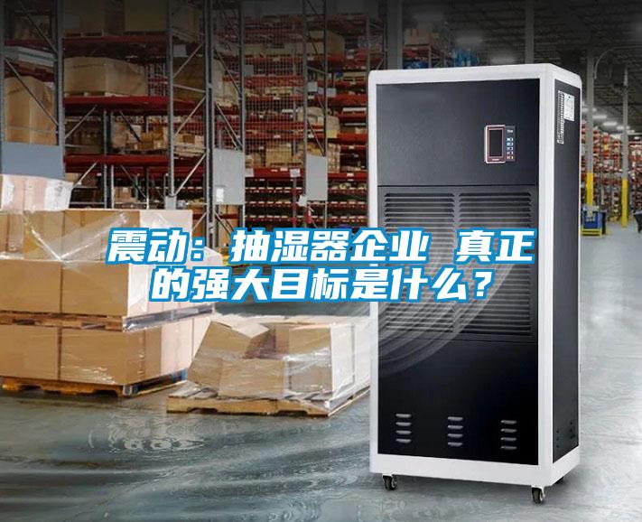 震動(dòng)：抽濕器企業(yè) 真正的強(qiáng)大目標(biāo)是什么？