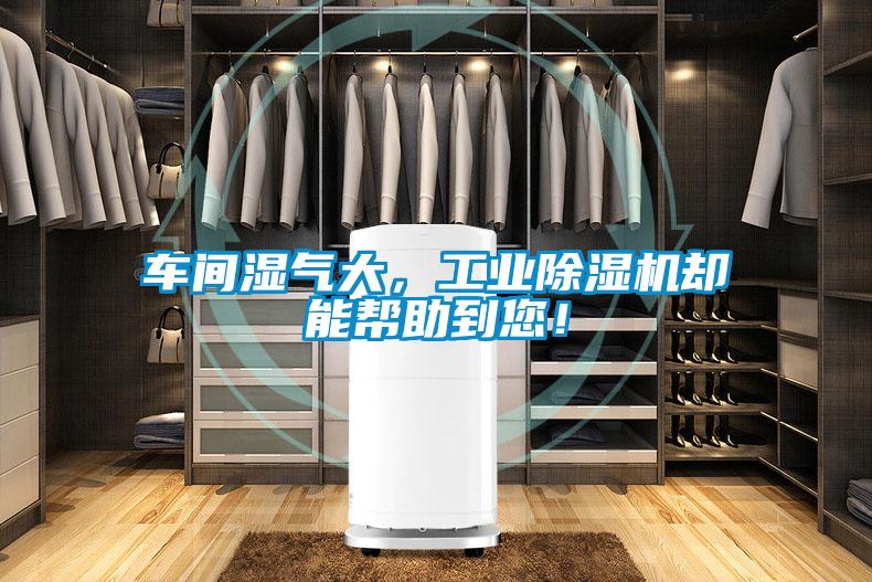 車間濕氣大，工業(yè)除濕機卻能幫助到您！