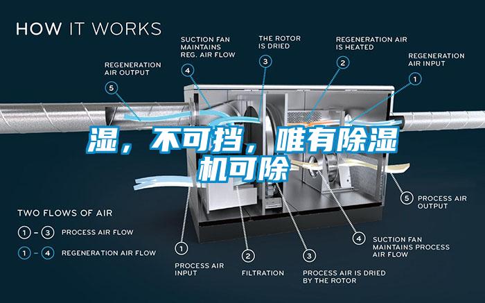 濕，不可擋，唯有除濕機(jī)可除