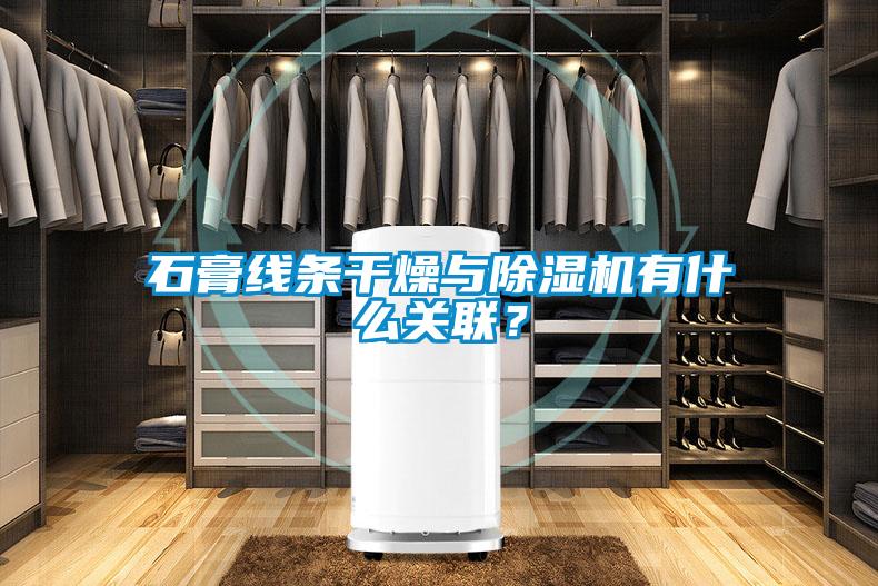 石膏線條干燥與除濕機(jī)有什么關(guān)聯(lián)？