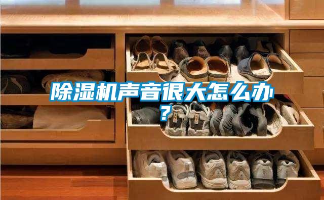除濕機(jī)聲音很大怎么辦？