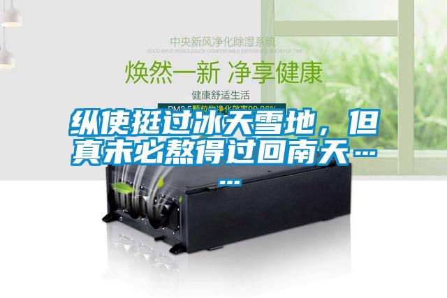 縱使挺過冰天雪地，但真未必熬得過回南天……