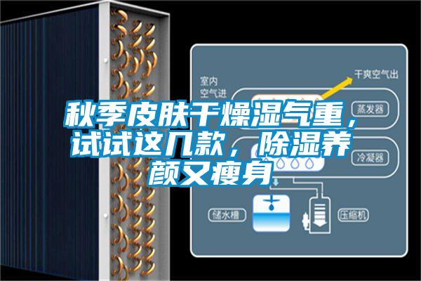 秋季皮膚干燥濕氣重，試試這幾款，除濕養(yǎng)顏又瘦身