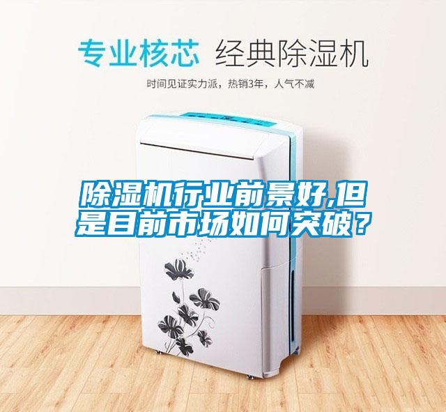 除濕機(jī)行業(yè)前景好,但是目前市場(chǎng)如何突破？