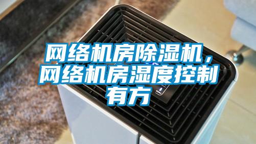 網(wǎng)絡(luò)機(jī)房除濕機(jī)，網(wǎng)絡(luò)機(jī)房濕度控制有方