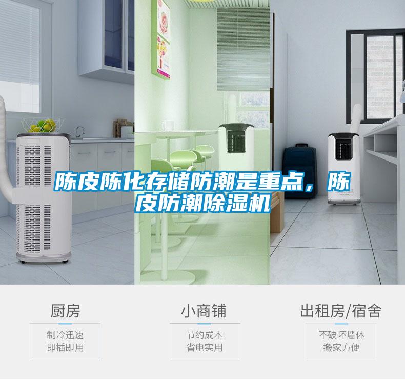 陳皮陳化存儲防潮是重點(diǎn)，陳皮防潮除濕機(jī)