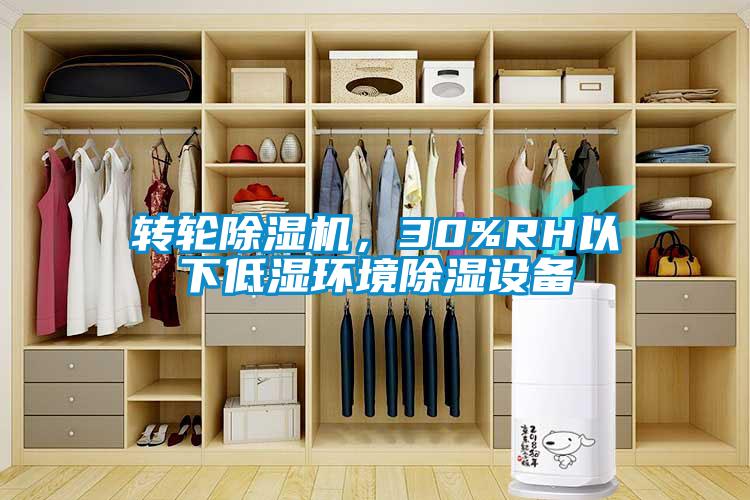 轉(zhuǎn)輪除濕機，30%RH以下低濕環(huán)境除濕設備