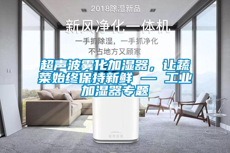超聲波霧化加濕器，讓蔬菜始終保持新鮮 — 工業(yè)加濕器專題