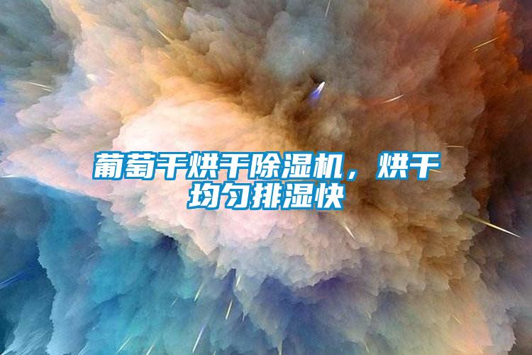 葡萄干烘干除濕機(jī)，烘干均勻排濕快