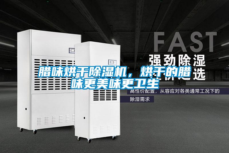 臘味烘干除濕機，烘干的臘味更美味更衛(wèi)生