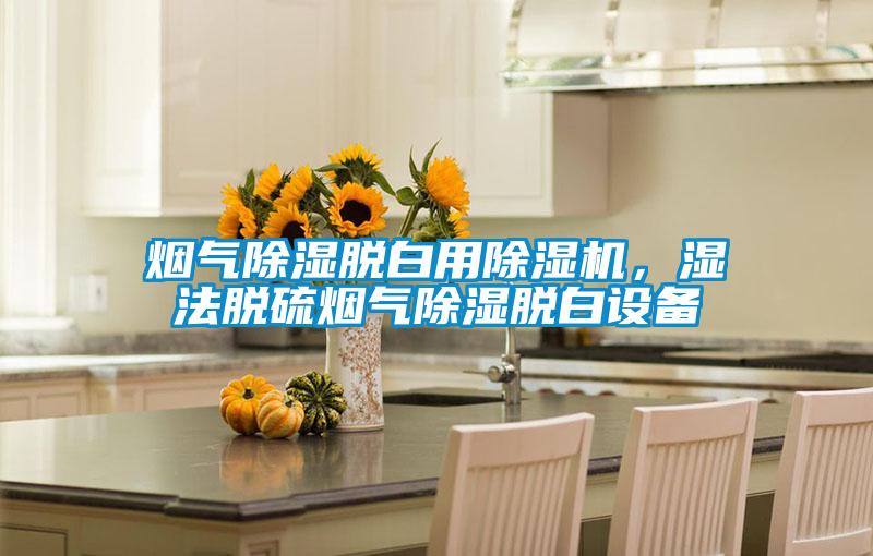 煙氣除濕脫白用除濕機(jī)，濕法脫硫煙氣除濕脫白設(shè)備