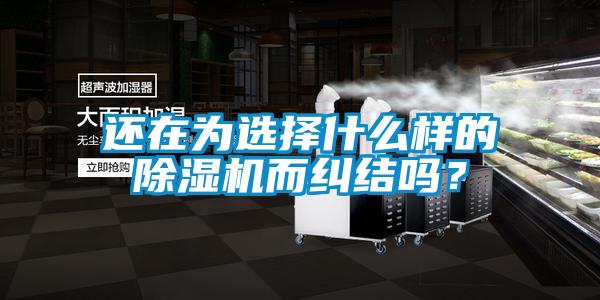 還在為選擇什么樣的除濕機而糾結(jié)嗎？