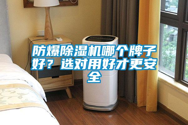 防爆除濕機(jī)哪個(gè)牌子好？選對(duì)用好才更安全