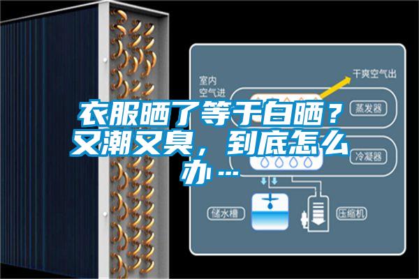 衣服曬了等于白曬？又潮又臭，到底怎么辦…