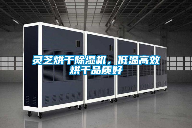 靈芝烘干除濕機，低溫高效烘干品質(zhì)好