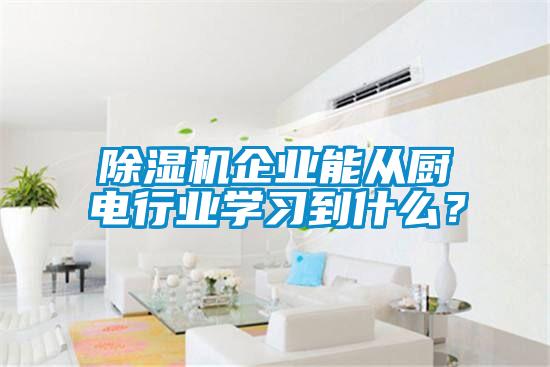 除濕機(jī)企業(yè)能從廚電行業(yè)學(xué)習(xí)到什么？