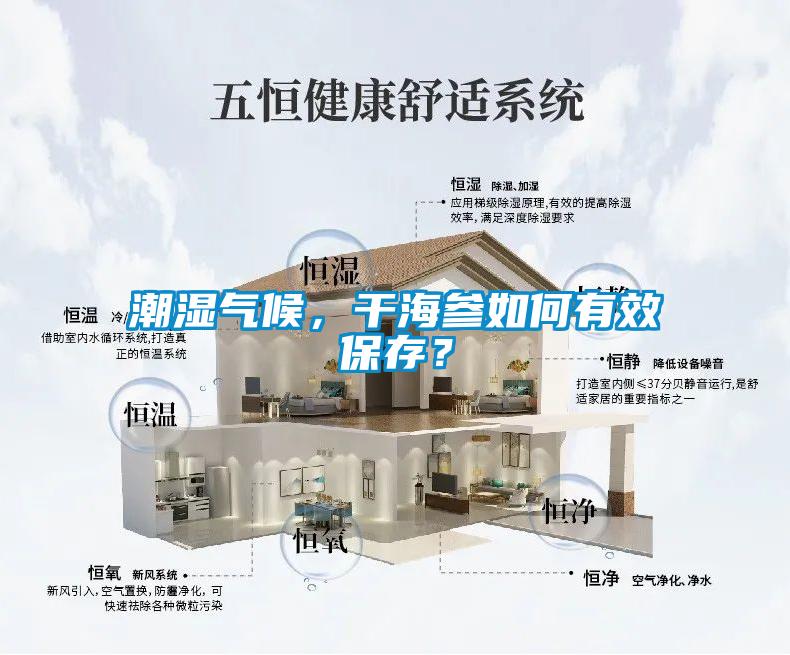 潮濕氣候，干海參如何有效保存？