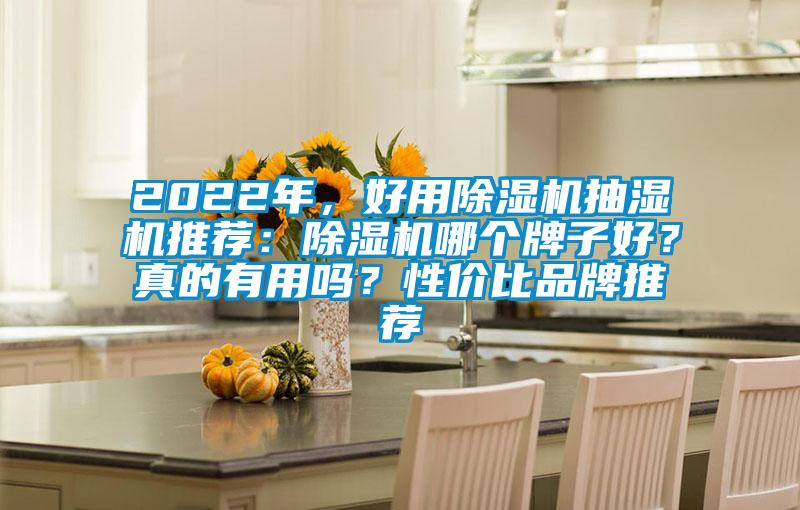 2022年，好用除濕機(jī)抽濕機(jī)推薦：除濕機(jī)哪個(gè)牌子好？真的有用嗎？性價(jià)比品牌推薦