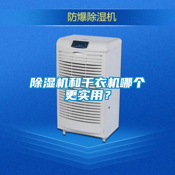 除濕機和干衣機哪個更實用？