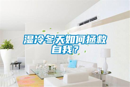 濕冷冬天如何拯救自我？