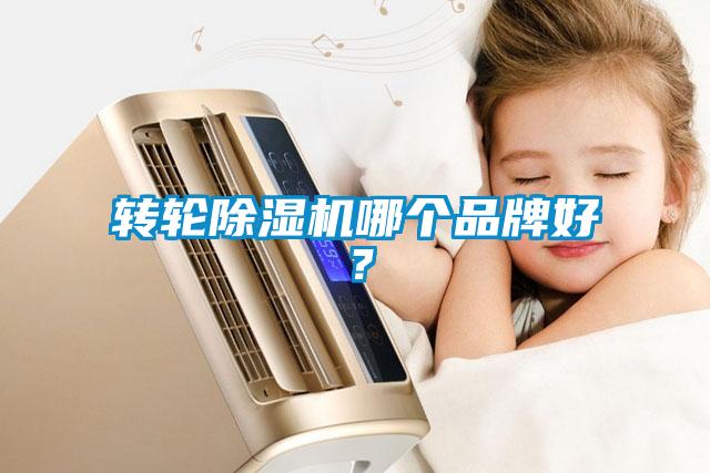轉(zhuǎn)輪除濕機哪個品牌好？
