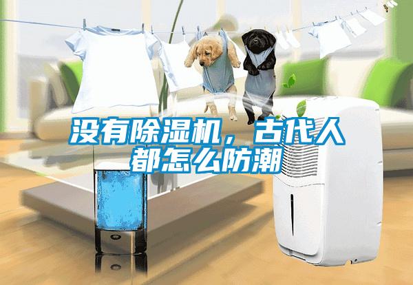 沒有除濕機(jī)，古代人都怎么防潮