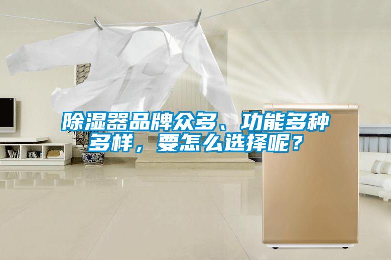除濕器品牌眾多、功能多種多樣，要怎么選擇呢？