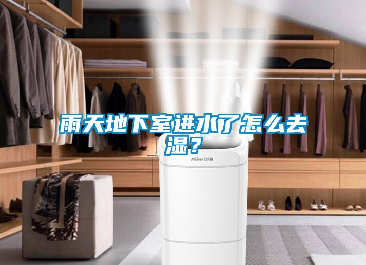 雨天地下室進水了怎么去濕？