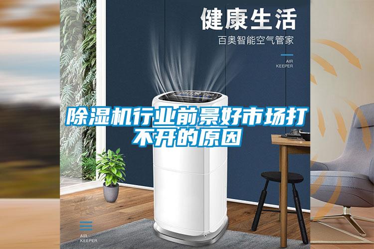 除濕機(jī)行業(yè)前景好市場(chǎng)打不開(kāi)的原因