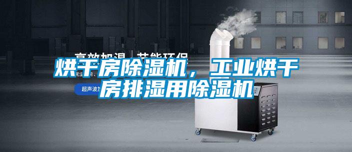 烘干房除濕機，工業(yè)烘干房排濕用除濕機