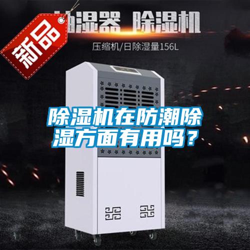 除濕機(jī)在防潮除濕方面有用嗎？