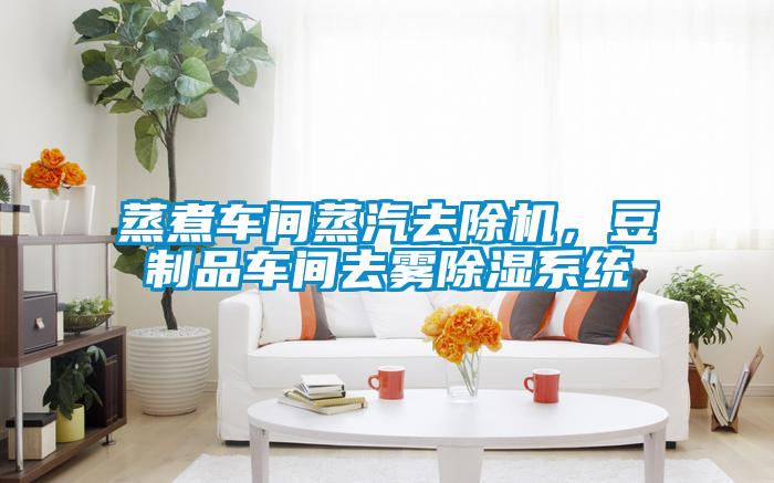 蒸煮車(chē)間蒸汽去除機(jī)，豆制品車(chē)間去霧除濕系統(tǒng)