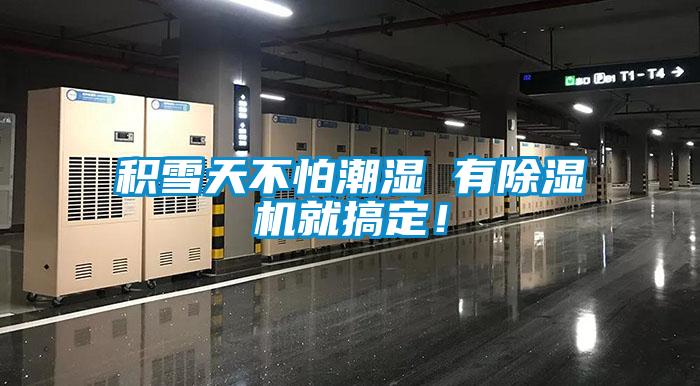 積雪天不怕潮濕 有除濕機(jī)就搞定！