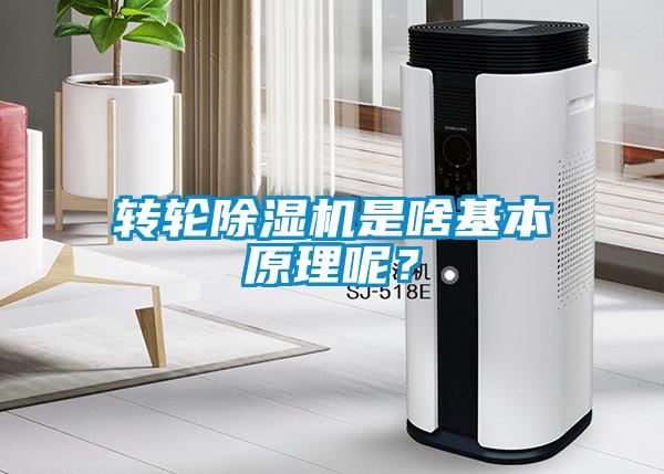 轉輪除濕機是啥基本原理呢？