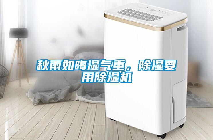 秋雨如晦濕氣重，除濕要用除濕機
