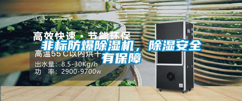 非標(biāo)防爆除濕機(jī)，除濕安全有保障