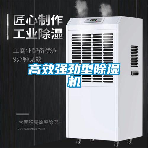 高效強(qiáng)勁型除濕機(jī)